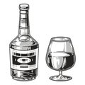Cognac drink monochrome detailed element
