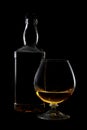 Cognac glass and bottle with brandy with rim lighting Royalty Free Stock Photo