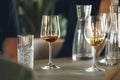 Cognac tasting. Alcohol tasting preparation. Various white wines in glasses without name. Blind degustation. Royalty Free Stock Photo