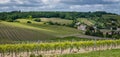 Cognac vineyard, village and Bouteville Church and castle, vintage great champagne