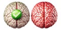 Cognitive function a comparison of brain states showing approved and unapproved conditions. Generative AI Royalty Free Stock Photo