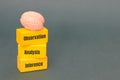 Cognitive Processing Model: Brain Resting on Blocks of Observation Analysis and Inference for Logical Decision Making and Royalty Free Stock Photo