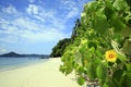 Coiba National Park