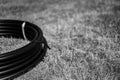 Coil of 1 inch irrigation tubing ready for new installation on top of brown and damaged dry grass. Royalty Free Stock Photo