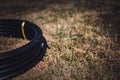 Coil of 1 inch irrigation tubing ready for new installation on top of brown and damaged dry grass. Royalty Free Stock Photo