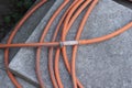 A coil of pink rubber hose for watering water