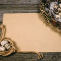 Coil of rope with quail eggs in one side and nest in other side of sheet of paper for text on rustic wood background. Royalty Free Stock Photo