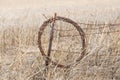 Coil of rusted barbed wire on rust covered fence post against yellow grass Royalty Free Stock Photo