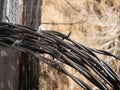 Barb Wire Royalty Free Stock Photo