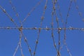 Coiled barbed wire fencing against a blue sky background