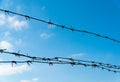 Coiled barbed wire fencing against a blue sky background. Concept of boundary, prison, war or military base