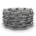 Coiled Barbed Wire Isolated on White Background Royalty Free Stock Photo