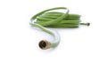 Coiled green garden hose on white background Royalty Free Stock Photo