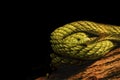 Coiled Green Mamba Isolated on Black