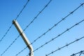 Coiled razor wire with its sharp steel barbs on top of a mesh perimeter fence ensuring safety and security Royalty Free Stock Photo