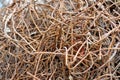 coiled rusting steel hawsers lie on the ground at a fishing port and make a great textured background Royalty Free Stock Photo