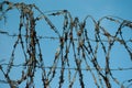 Old rusty barbed wire fencing against the blue sky Royalty Free Stock Photo
