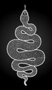 Coiled snake detailed illustration