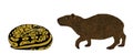 Coiled snake python attack Capybara vector illustration isolated. Royalty Free Stock Photo