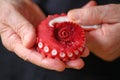 Coiled tentacle of octopus held by man Royalty Free Stock Photo