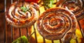Coils of barbecued sausage on a hot fire Royalty Free Stock Photo