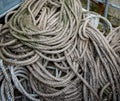 Coils of old marine rope with fungai Royalty Free Stock Photo