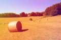 Coils of hay in the field after the grain harvest in Germany. Royalty Free Stock Photo