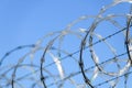 Coils of razor wire on a security fence against blue sky Royalty Free Stock Photo