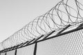 Coils of razor wire on top of a wire mesh perimeter fence Royalty Free Stock Photo