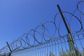 Coils of sharp razor wire on a metal fence Royalty Free Stock Photo