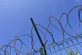 Coils of razor wire on a metal fence with a crossbar Royalty Free Stock Photo