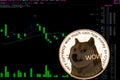 Coin cryptocurrency Doge on a background financial chart.