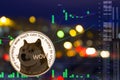 Coin cryptocurrency Doge on night city background and chart.