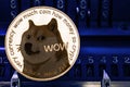 Coin cryptocurrency Dogecoin against the numbers of the arithmometer