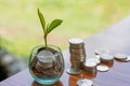 Coin in glass bottle with money stack step up growing growth saving money, Concept financial business investment Royalty Free Stock Photo