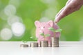 Coin graph shows financial growth and tree planting on coin piles, as well as piggy banks.