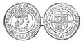 Coin of Henry VII, vintage illustration