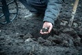 The coin is a lucky find while searching for treasures with a metal detector in the field. A dug up coin in a pile of earth