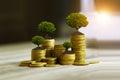 Coin money showing growth chart success concept. Green tree growing on coins. Prosperous stock investment. Savings. Financial Royalty Free Stock Photo