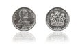 Coin 1 naira NGN, Nigeria Royalty Free Stock Photo