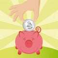 Coin and piggy