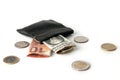 Coin purse isolated with banknotes and coins Royalty Free Stock Photo