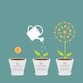 Coin seed, watering can, dollar plant. Financial growth concept. Flat design infographic.