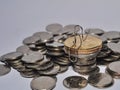Coin stack with bitcoinand litecoin isolated Royalty Free Stock Photo