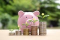 The coin stack includes pig piggy banks for saving money. Royalty Free Stock Photo