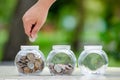 Coin tree Glass Jar Plant growing from coins outside the glass jar money saving and investment financial concept Royalty Free Stock Photo