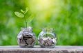 Coin tree Glass Jar Plant growing from coins outside the glass jar on blurred green natural background money saving and investment Royalty Free Stock Photo