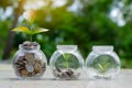 Coin tree Glass Jar Plant growing from coins outside the glass jar on blurred green natural background money saving and investment