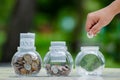 Coin tree Glass Jar Plant growing from coins outside the glass jar money saving and investment financial concept Royalty Free Stock Photo