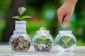 Coin tree Glass Jar Plant growing from coins outside the glass jar money saving and investment financial concept Royalty Free Stock Photo